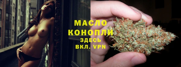 твердый Дмитровск