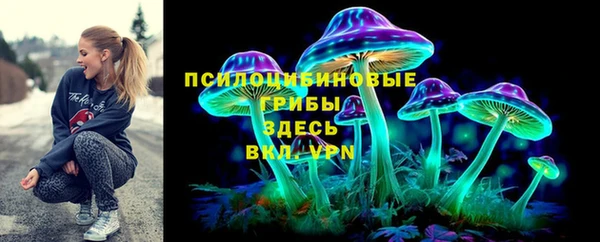 амф Бородино