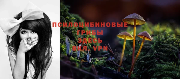 МДПВ Каменск-Шахтинский